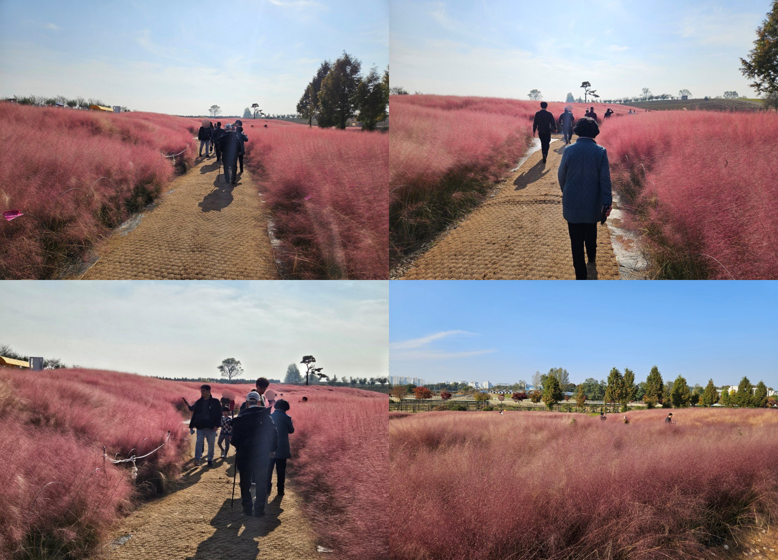 [���] 2025�� ��Ű� �Բ��ϴ� �ູ ������