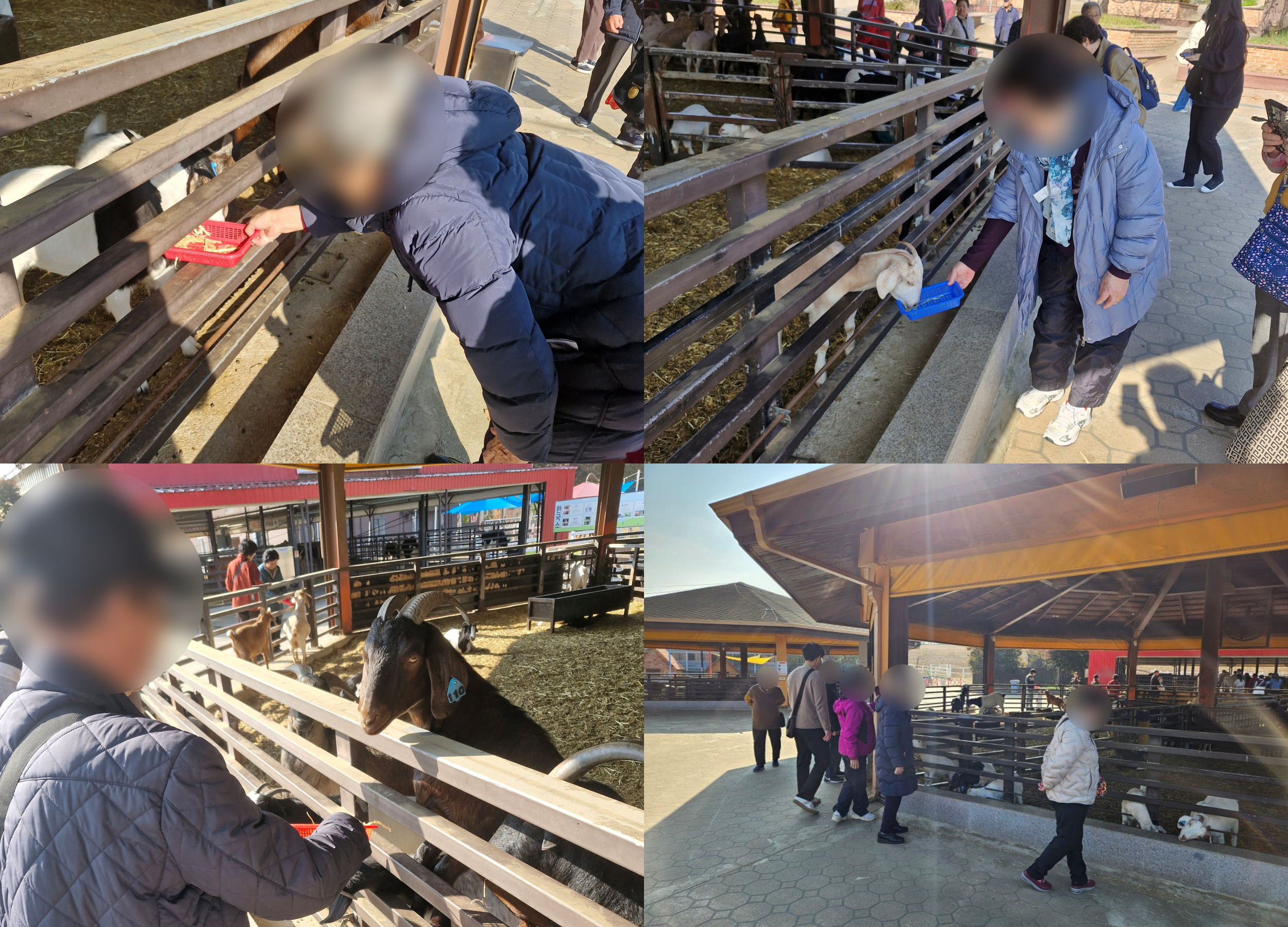 [���] 2025�� ��Ű� �Բ��ϴ� �ູ ������